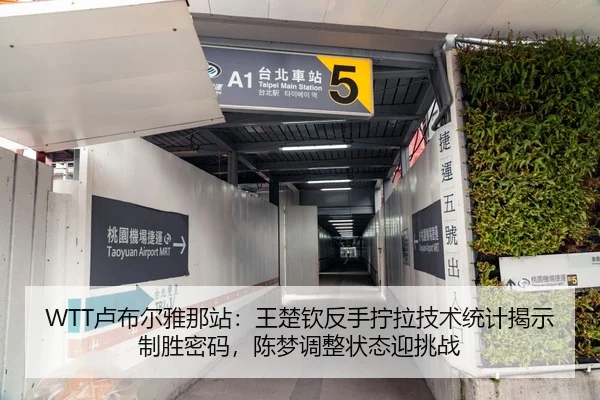 WTT卢布尔雅那站:王楚钦反手拧拉技术统计揭示制胜密码,陈梦调整状态迎挑战