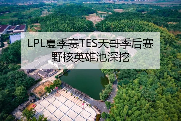 LPL夏季赛TES天哥季后赛野核英雄池深挖