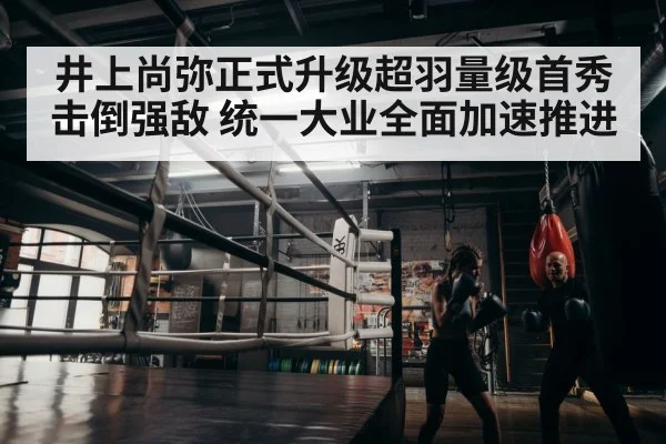 boxer training